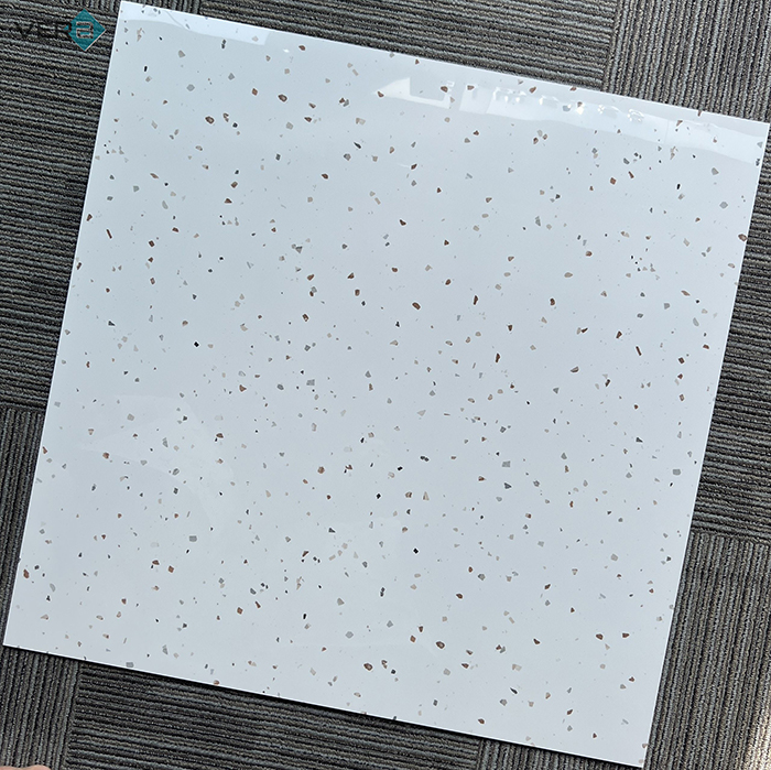 Gạch terrazzo bóng mã AAT304P 800x800mm